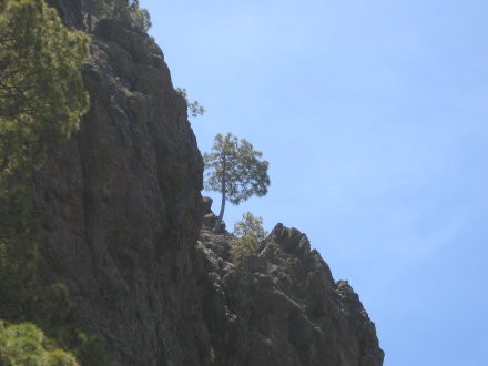 Blick hinauf