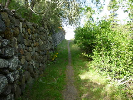 Wanderweg bei El Pinar