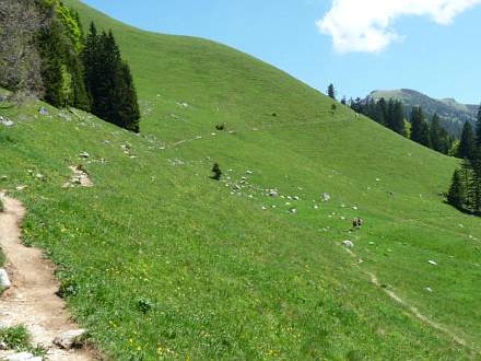 Nach dem Wald gabelt sich der Weg