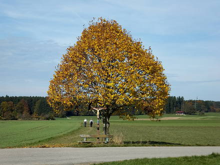 Am Rückweg
