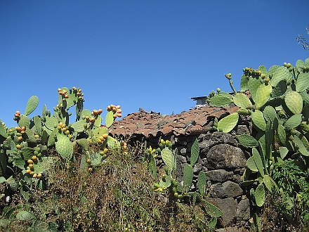 Traditionelles palmerisches Steinhaus