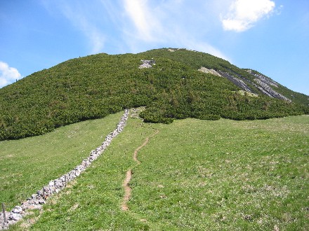 Der Miesinggipfel vom Sattel aus gesehen