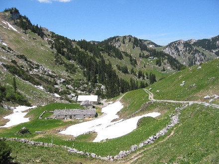 Die Kleintiefenthalalm