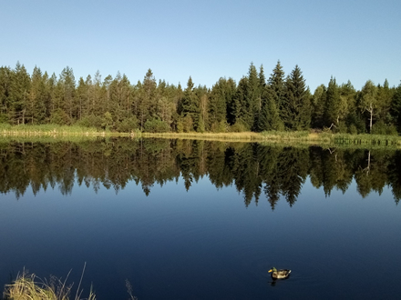Lehmhaidner Teich mit der ersten Rastmöglichkeit