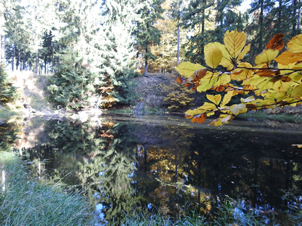 früher Steinbruch, jetzt der Basaltsee
