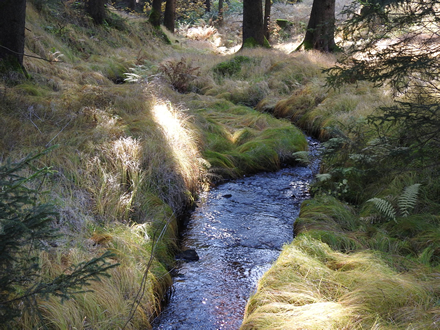 Ullersdorfer Bach