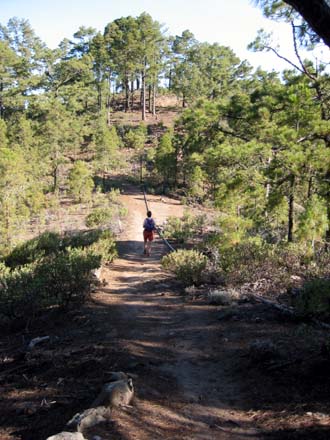 Zwischen Cruz de Maria und Finca Tirma