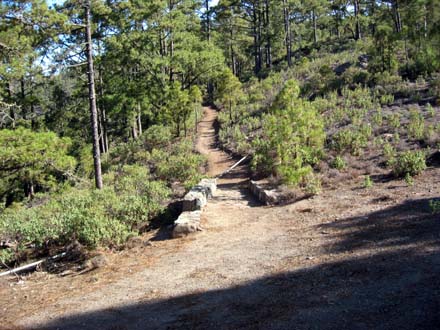 Abzweigung von der Straße