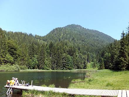 Bichlersee mit Wildbarren